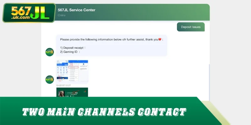 Two main channels for instant support
