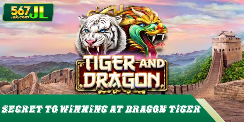 Dragon Tiger Playing Strategy to Win Big